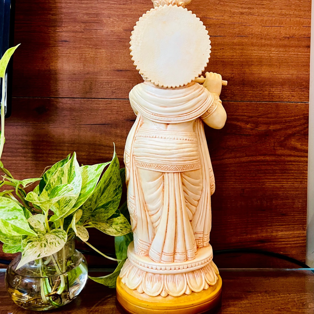 DHIVYA PRABHA KRISHNAN