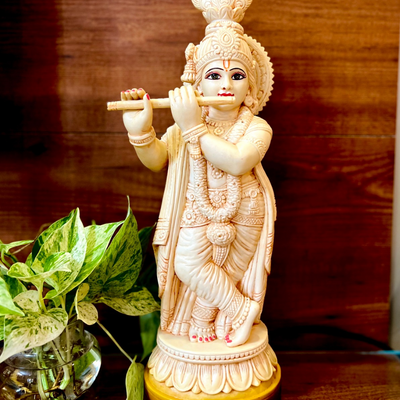 DHIVYA PRABHA KRISHNAN