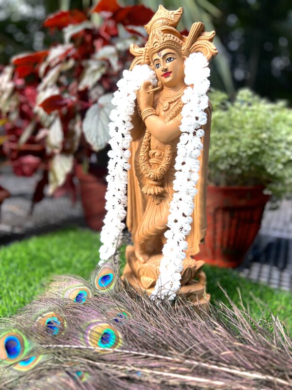 Wooden Krishna 1