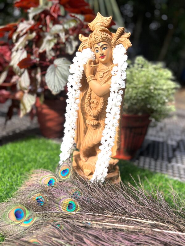 Wooden Krishna 2